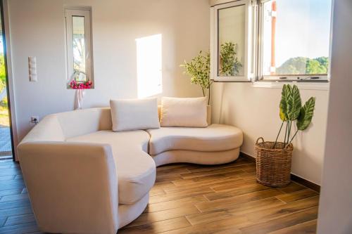 Arta Casa | Vitta's House