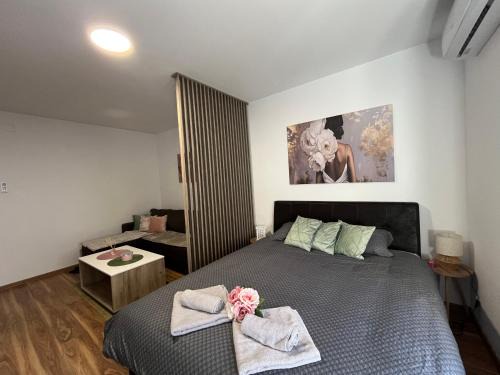 Vrsac Apartamento | Vlasic Apartmani HANA