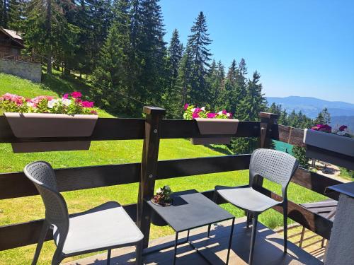 Babanovac Apartamento | Vlasicka avantura Eko Fis 509