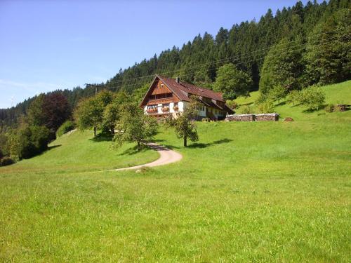 Bad Rippoldsau-Schapbach Apartamento | Vogtshof