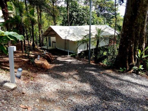 San Rafael de Guatuso Otro | Volcano Tenorio Glamping Ranch - 3 Tents
