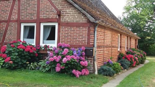 Schneverdingen Apartamento | von Wiegen, Ferienwohnungen