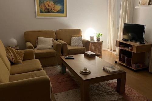 Sao Pedro do Sul Apartamento | Vouga Lodge