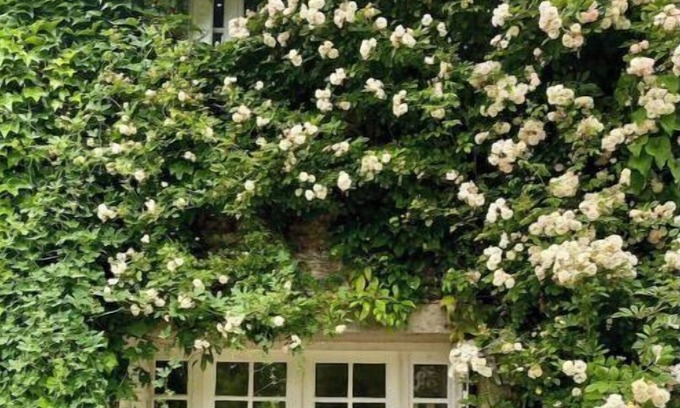 Saint-Pierre-de-Bailleul Casa | Vraie Belle Maison de Campagne à 1h de Paris !