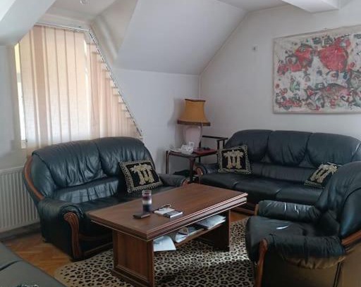 Vranje Apartamento | Vranje City Center, Penthouse Delux Apartment