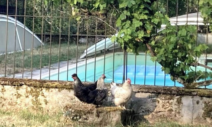 Chatillon-Sur-Loire Casa | Vrbo Property