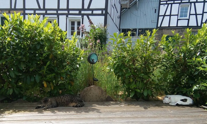 Numbrecht Apartamento | Vrbo Property