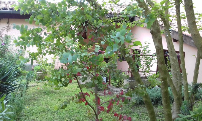 Colomiers Apartamento | Vrbo Property