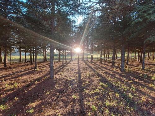 Couiza Casa | Vue de Rennes-le-Château