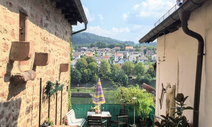 Hirschhorn Casa | W4.Neckar view, nature, old town