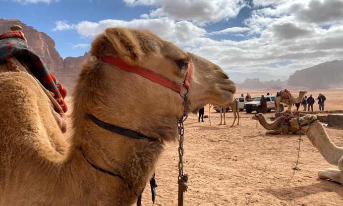 Wadi Rum Alquiler De RV | Wadi rum echo camp
