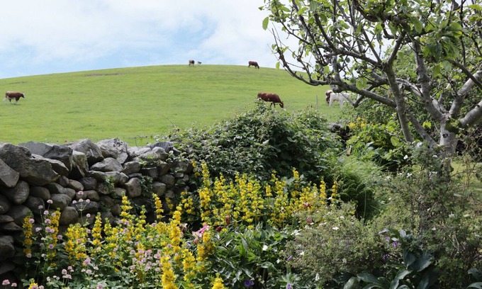 Flookburgh Cabaña | Waingate Cottage