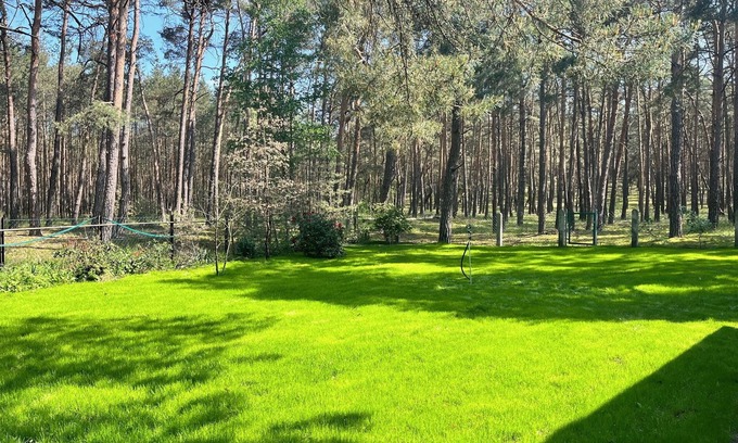 Briesensee Casa | Waldhäuschen am See