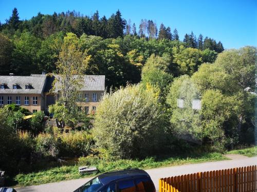 Schleiden Apartamento | Waldoase im Nationalpark Eifel für 4 Personen und max 2 Hunde