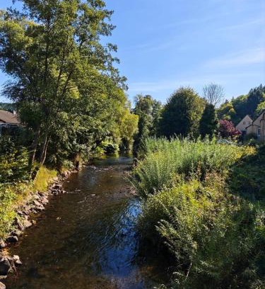 Schleiden Apartamento | Waldoase im Nationalpark Eifel für 7 Gäste und max 2 Hunde in 1A Lage
