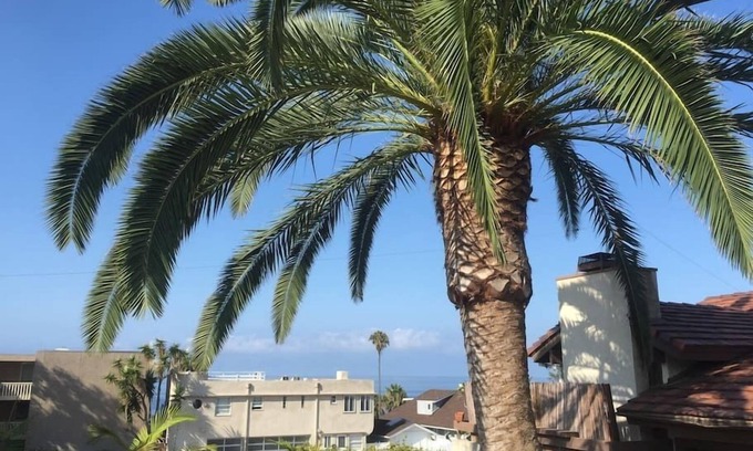 Laguna Beach Casa | Fantástica ubicación del pueblo. 300 pasos a la playa. ¡La mejor zona al aire libre que puedes encontrar!