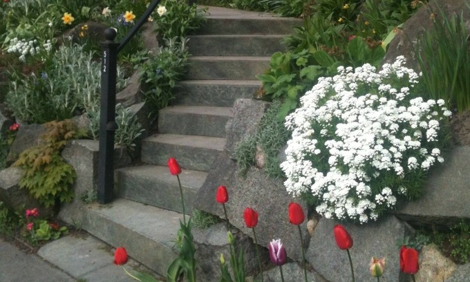 Central District Casa | Walk to the lake from your Classic Seattle Craftsman!