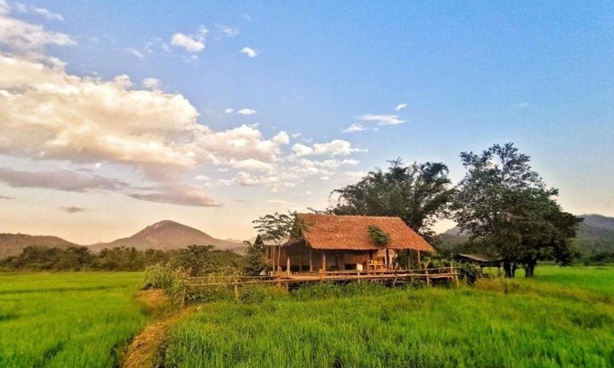 Chiang Dao Casa | Wanmai Farm Stay Muangkong วันใหม่ฟาร์มสเตย์ เมืองคอง เชียงดาว