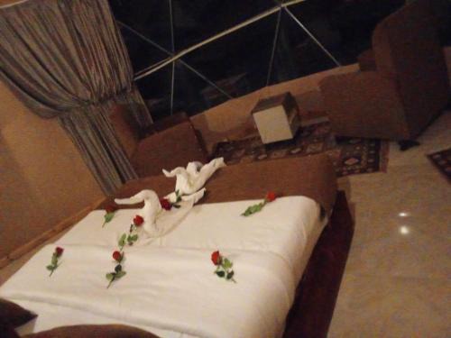 Wadi Rum Hotel | Wasan Camp Wadi Rum