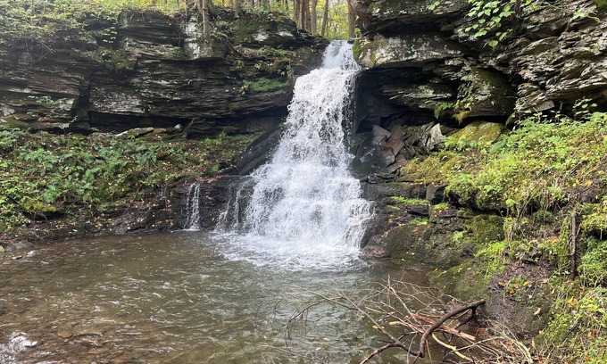 East Branch Casa | Waterfall View from Secluded 4 Bed Cabin in East Branch, NY with Mountain Views