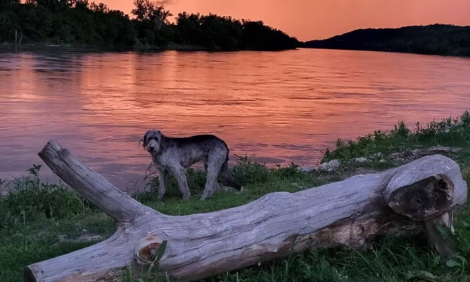 St. Joseph Cabina | Waterfront Cabin w/ Sunset View, WiFi, HUGE yard, and Fire-pit!