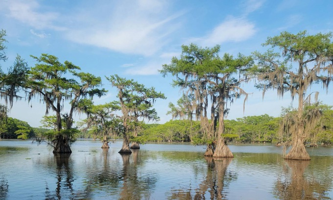 Uncertain Casa | Waterfront, close to Caddo State Park, walk to Shady Glade, vast deck, remodeled