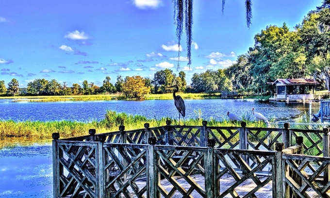 Inverness Cabaña | Waterfront Cottage Downtown Inverness, BASS, BIKE, BEER, IT'S ALL HERE!