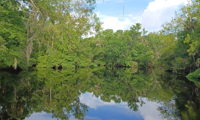 Perry Cabaña | Waterfront Cottage on the scenic Aucilla River.