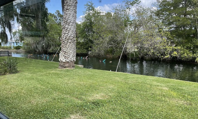 Crystal River Casa | El paraíso existe aquí en Crystal River. Ven a encontrarlo aquí con nosotros 🧜♀️🌴🐬🌺☀️