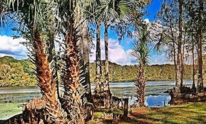 Lake Panasoffkee Casa | Casa frente al mar en el río Withlachoochee, terraza, piscina, vista absolutamente hermosa!