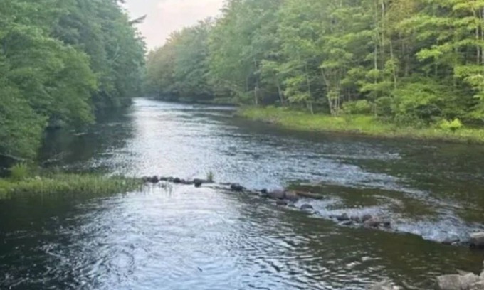 Limerick Alquiler De RV | Watersrock Woods Camp Site 1