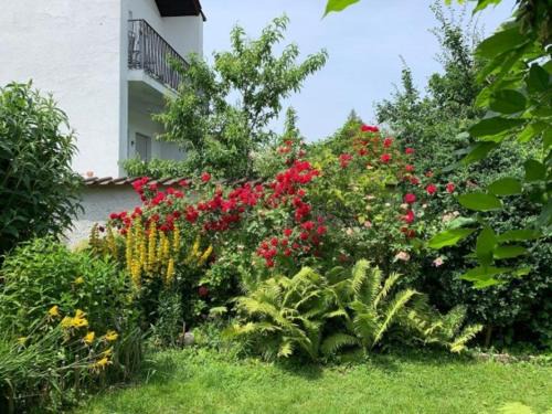 Hochzoll-Nord Apartamento | WatzMannOG