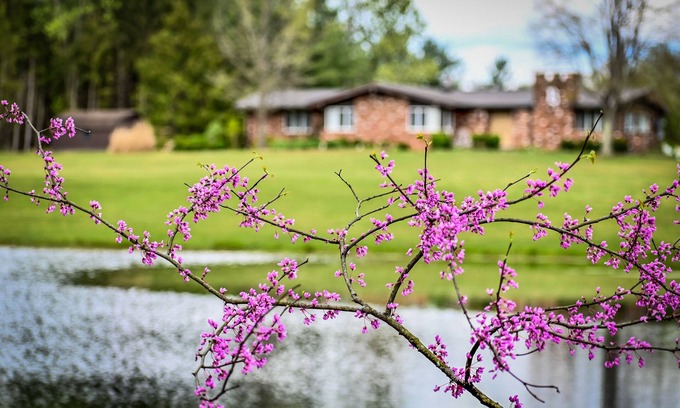 Ava Casa | We are a quiet ranch home that sits on 8 acres with firepit, pond and bar.