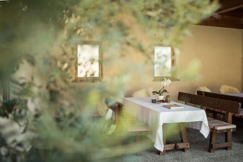 Unterrain/Riva di Sotto Casa | Weingut Donà