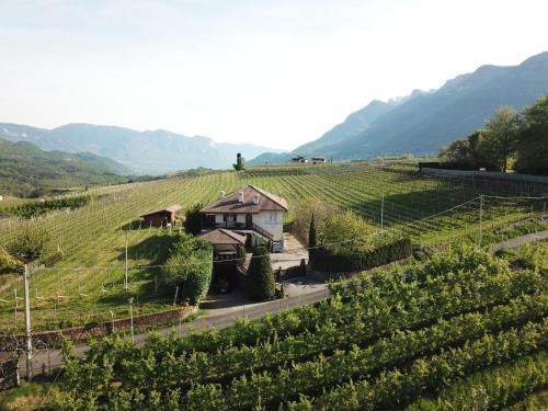 Pianizza Di Sopra Apartamento | Weingut Hochleiten