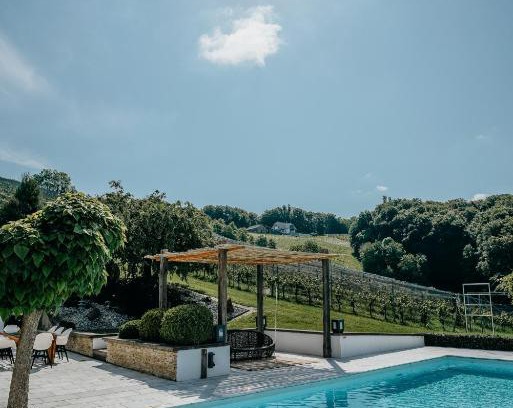 Spiefeld Cabina | Weingut Holler Chalet Weingarten