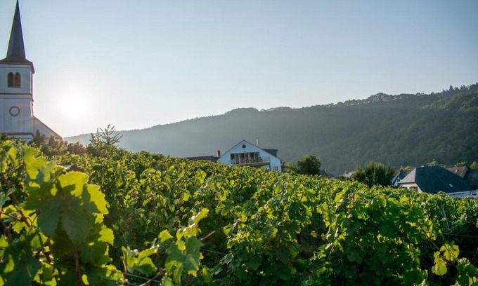 Minheim Apartamento | Weingut Johanneshof