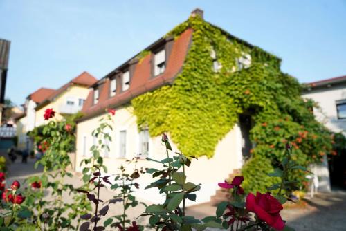 Erlabrunn Casa | Weingut Martin Blass