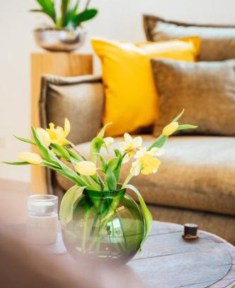 Wehlen Apartamento | Weinrebe