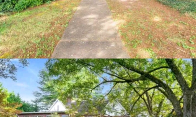 Pickens Casa | Welcome To Downtown Pickens close to Clemson and Lake Keowee
