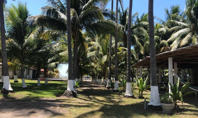 Costa Del Sol Casa | Welcome to the Coconut Grove Beach front Property