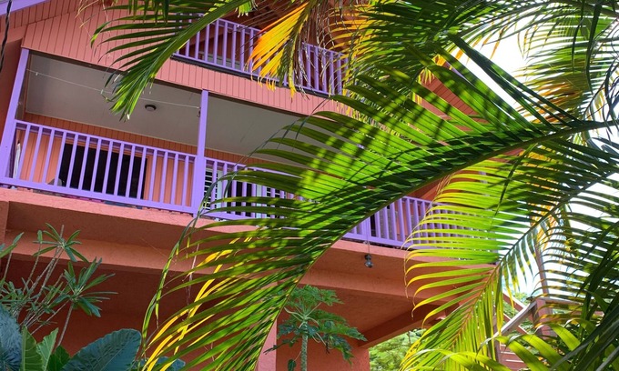 Puntas Casa | A-Frame Casa de playa se encuentra en lo alto de los árboles de almendra
