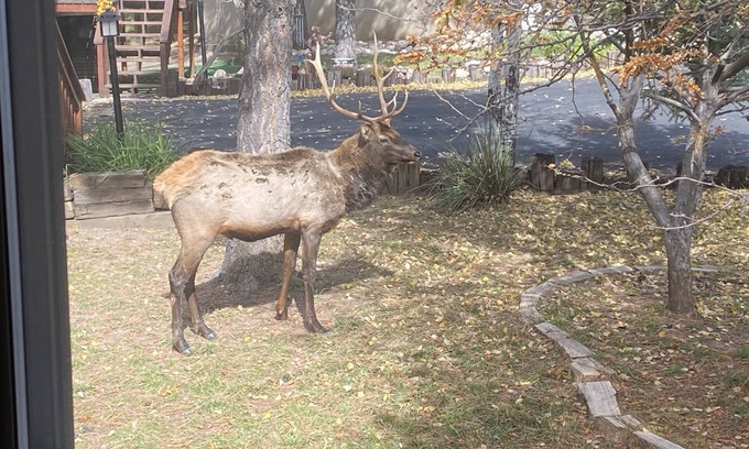 Ruidoso Condominio | Welcome to the Sierra Blanca Mountains!
