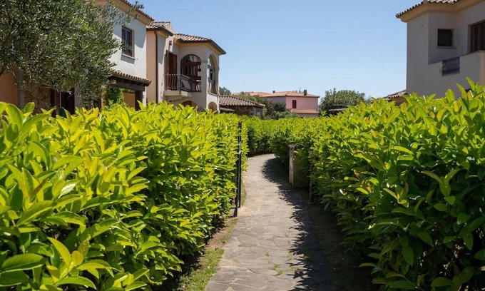 Monte Petrosu Apartamento | Welcomely - Il Bouquet