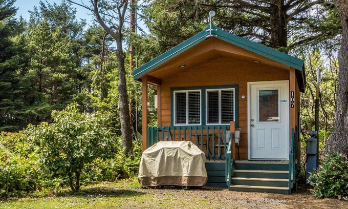 South Beach Complejo | Whalers Rest Studio Cabin 13