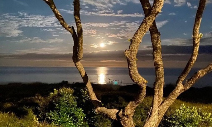 Whiritoa Casa | Whiritoa At Its Best