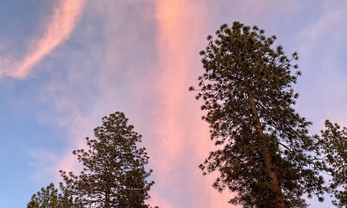 Midpines Casa | Whispering Pines! 25 miles to Yosemite + 9 miles to Mariposa!