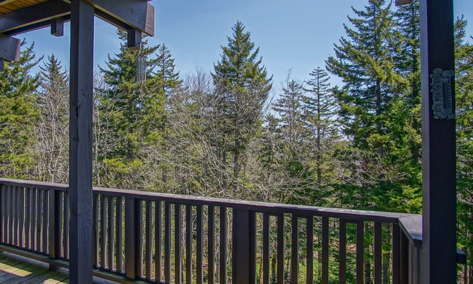 Snowshoe Condominio | 2 Br: Whistlepunk 11