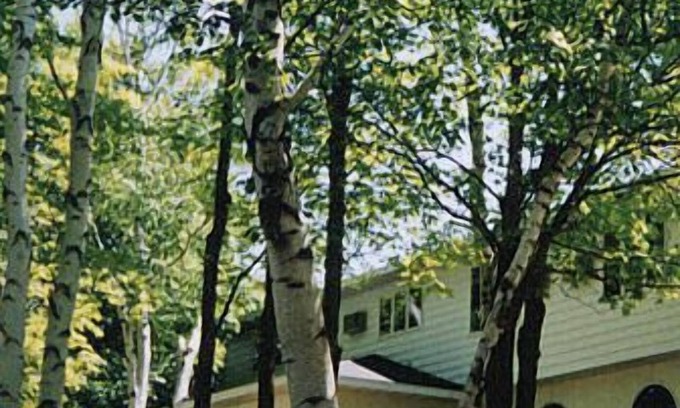 Sturgeon Bay Hotel | White Birch Inn