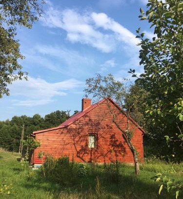 gmina Mielnik Casa | Wiejski domek w środku lasu Osłowo Mielnik